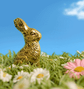 lapin chocolate avec or alimentaire, cadeau luxe