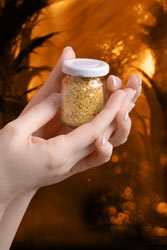 Food grade gold