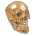 Cr�ne Or 24 carats