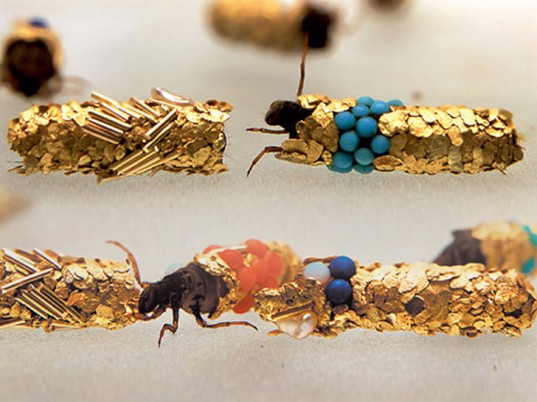 Hubert Duprat - Sans Titre (Caddis Fly), 1993. Insect-created jewellery by Hubert Duprat