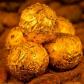chocolate with edible gold - small box