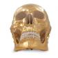 Gold Skull