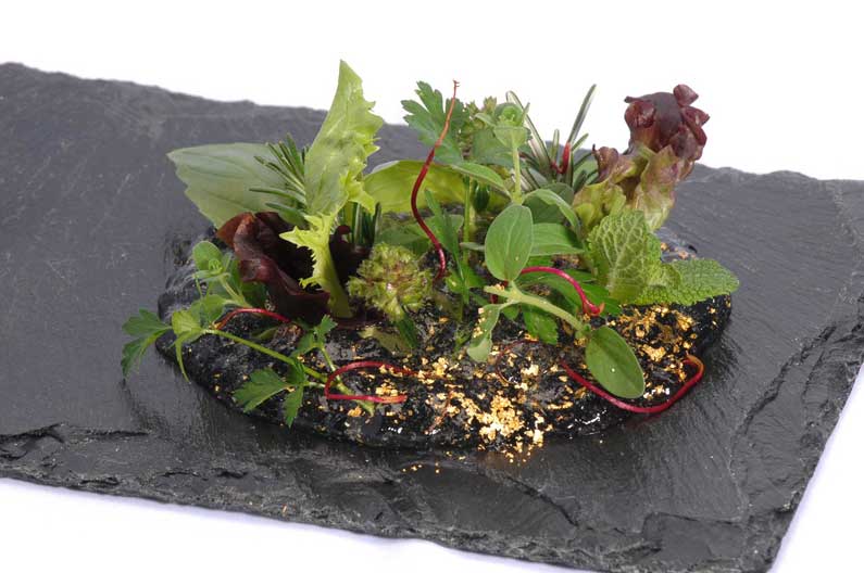 Mesclun-Salat auf Blattgold in Aspic